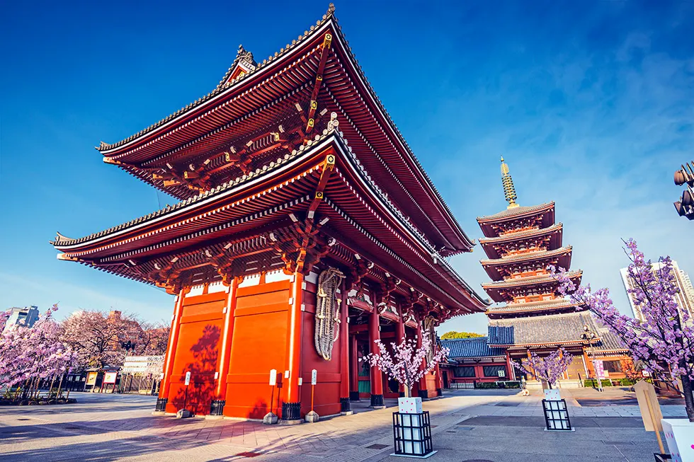 Rotes Tempeltor des Senso-ji mit fünfstöckiger Pagode und Kirschblüten in Asakusa