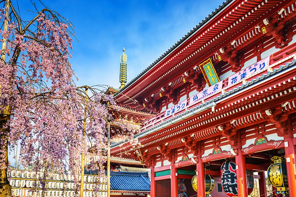 Rote Dachkonstruktion des Senso-ji-Tempels mit Kirschblüten und Papierlampions in Asakusa