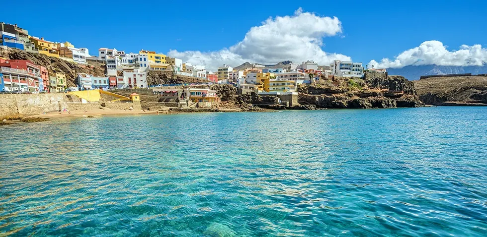 Sardina del Norte