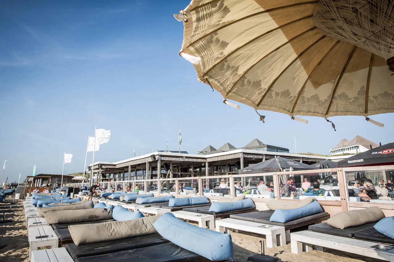 Reihen von Strandliegen mit blauen Kissen vor dem Beachclub Bloomingdale, Sonnenschirm im Vordergrund