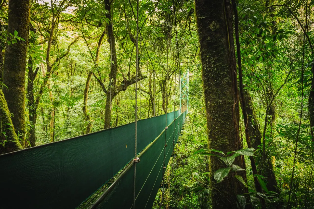Hanging Bridges in Costa Rica
