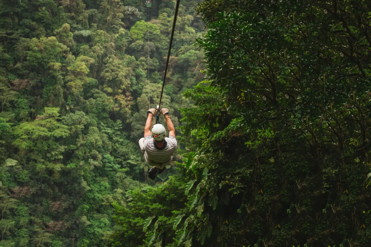 Person mit weißem Helm gleitet an der Zipline über das dichte Regenwaldkronendach