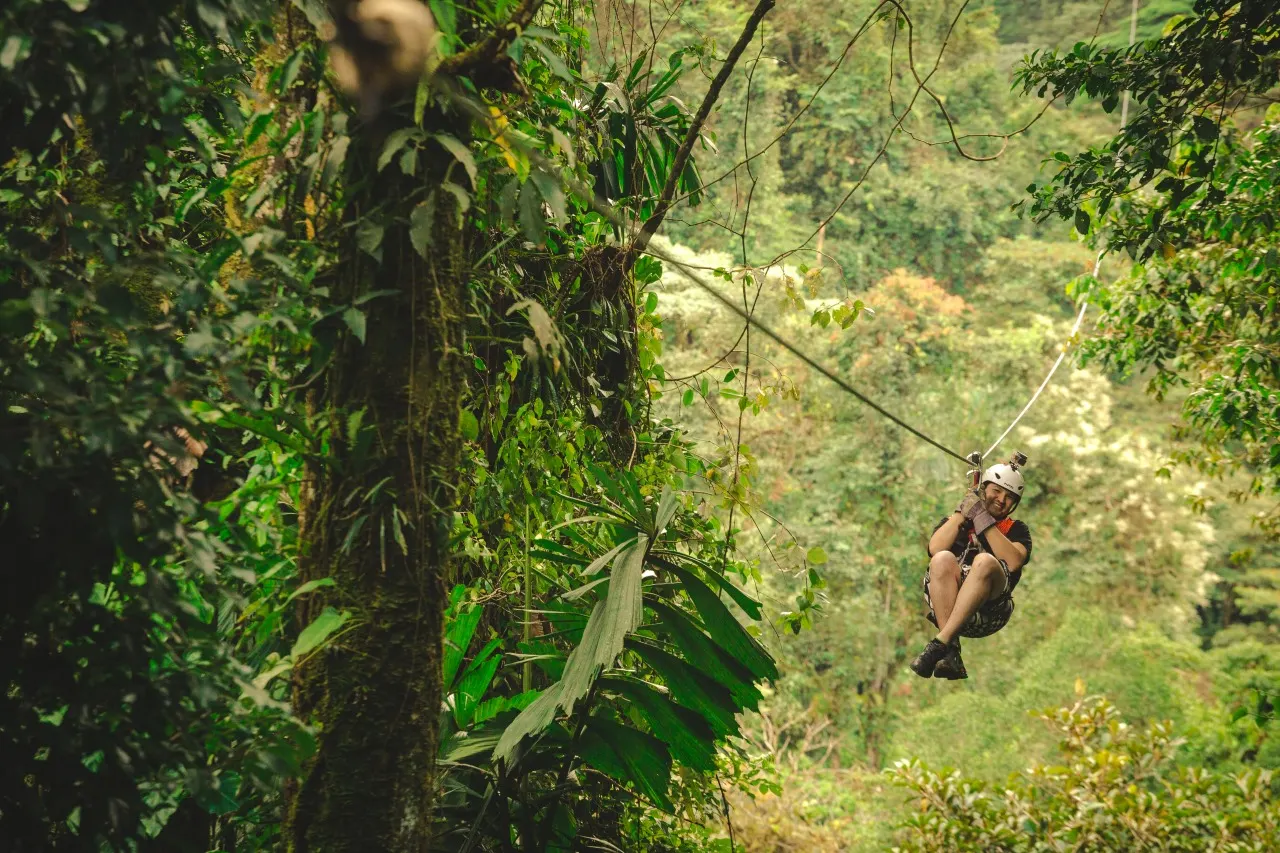 Frau an der Zipline schwebt an einem bemoosten Urwaldriesen mit Farnen vorbei