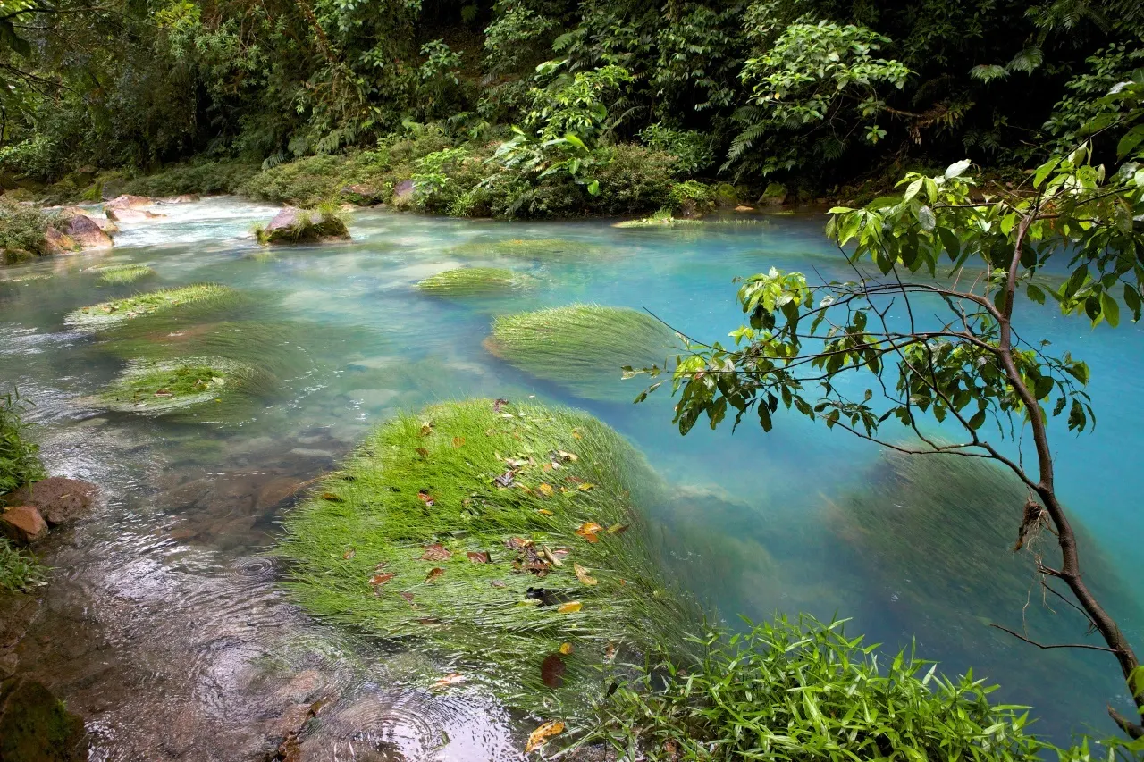 Río Celeste