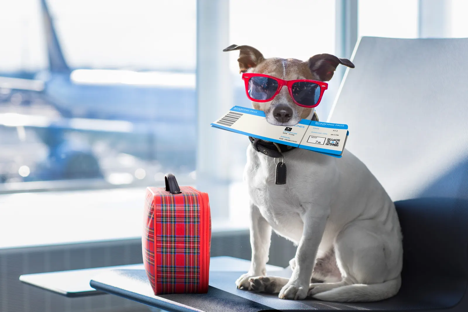 Schritt 5: Suche und Buchung der optimalen Flugtickets