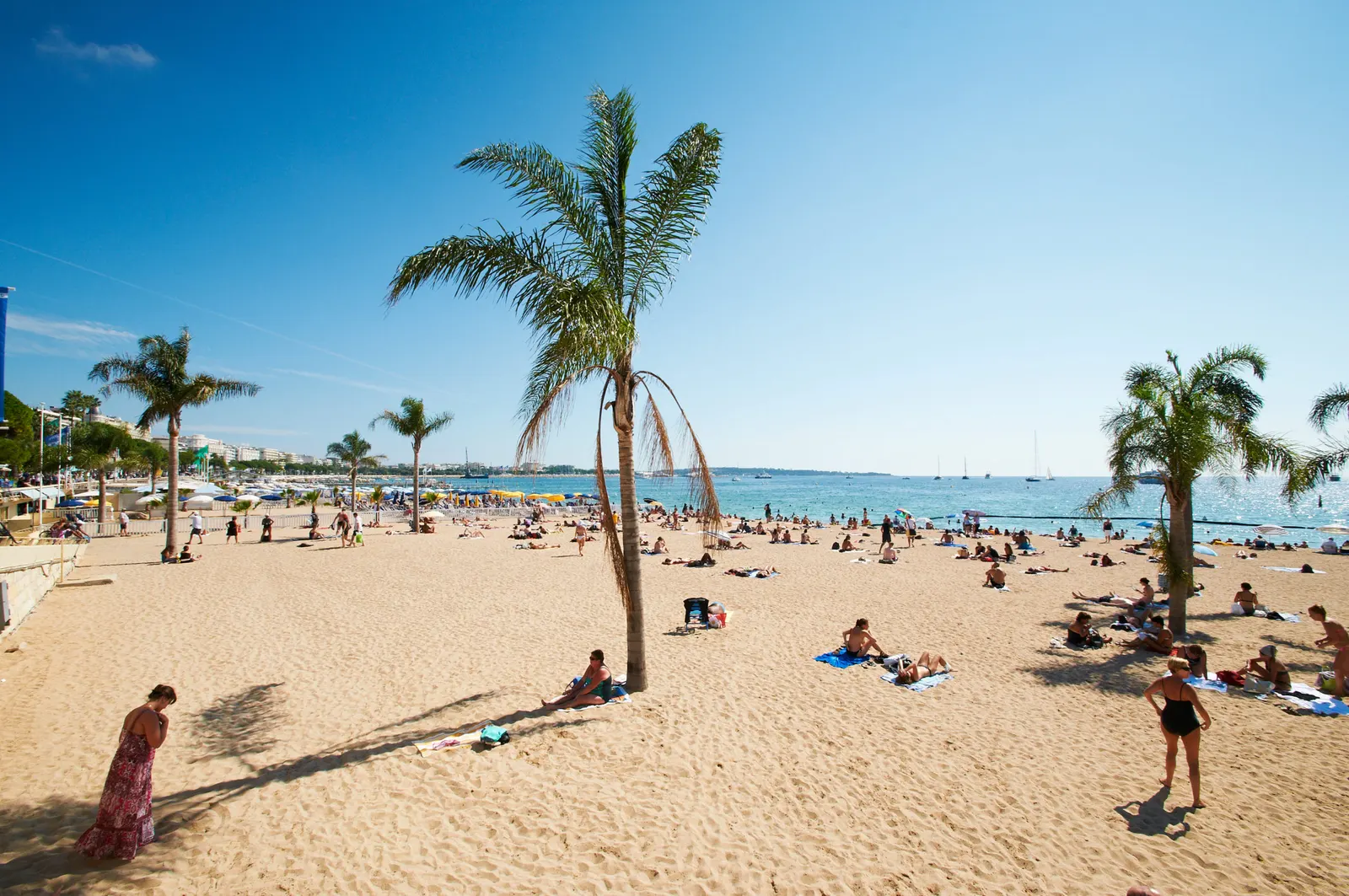 La Barceloneta