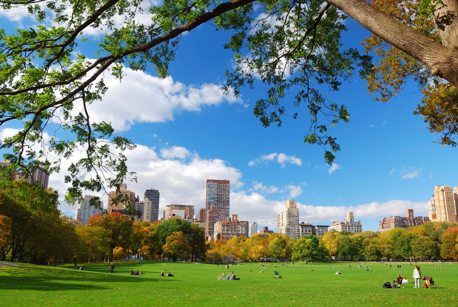 Central Park – Manhattan