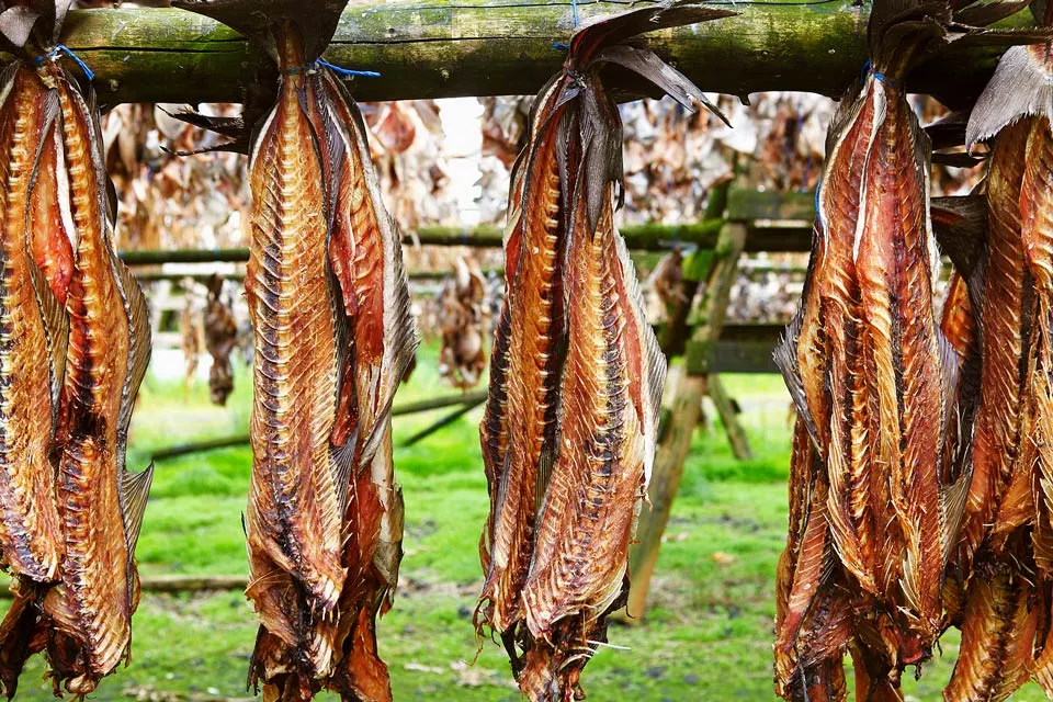 Trockenfisch