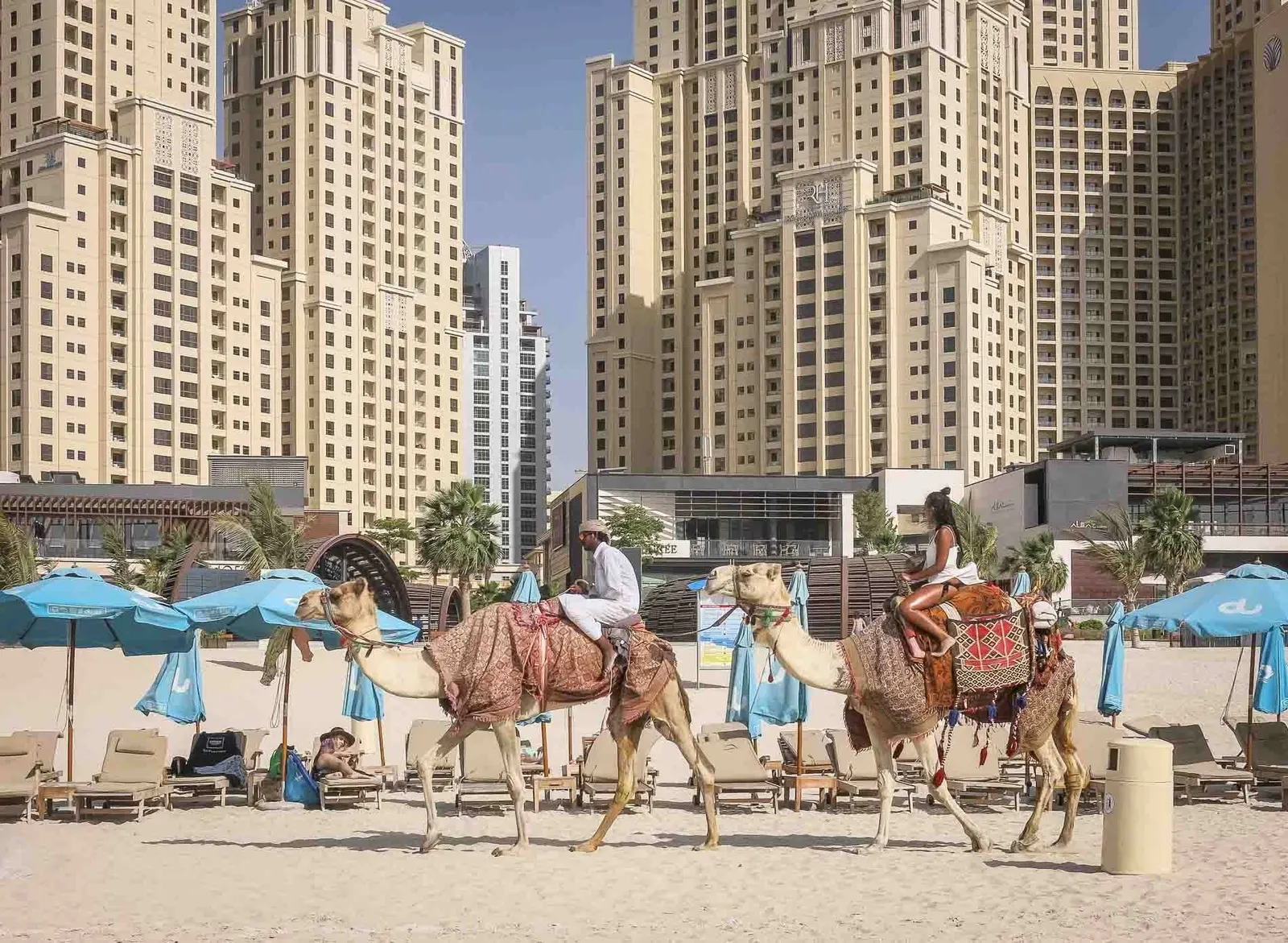 Zwei Kamele mit Reitern laufen am Strand von Dubai an Liegen und türkisen Sonnenschirmen vorbei, dahinter die Hochhaus-Kulisse der Jumeirah Beach Residence