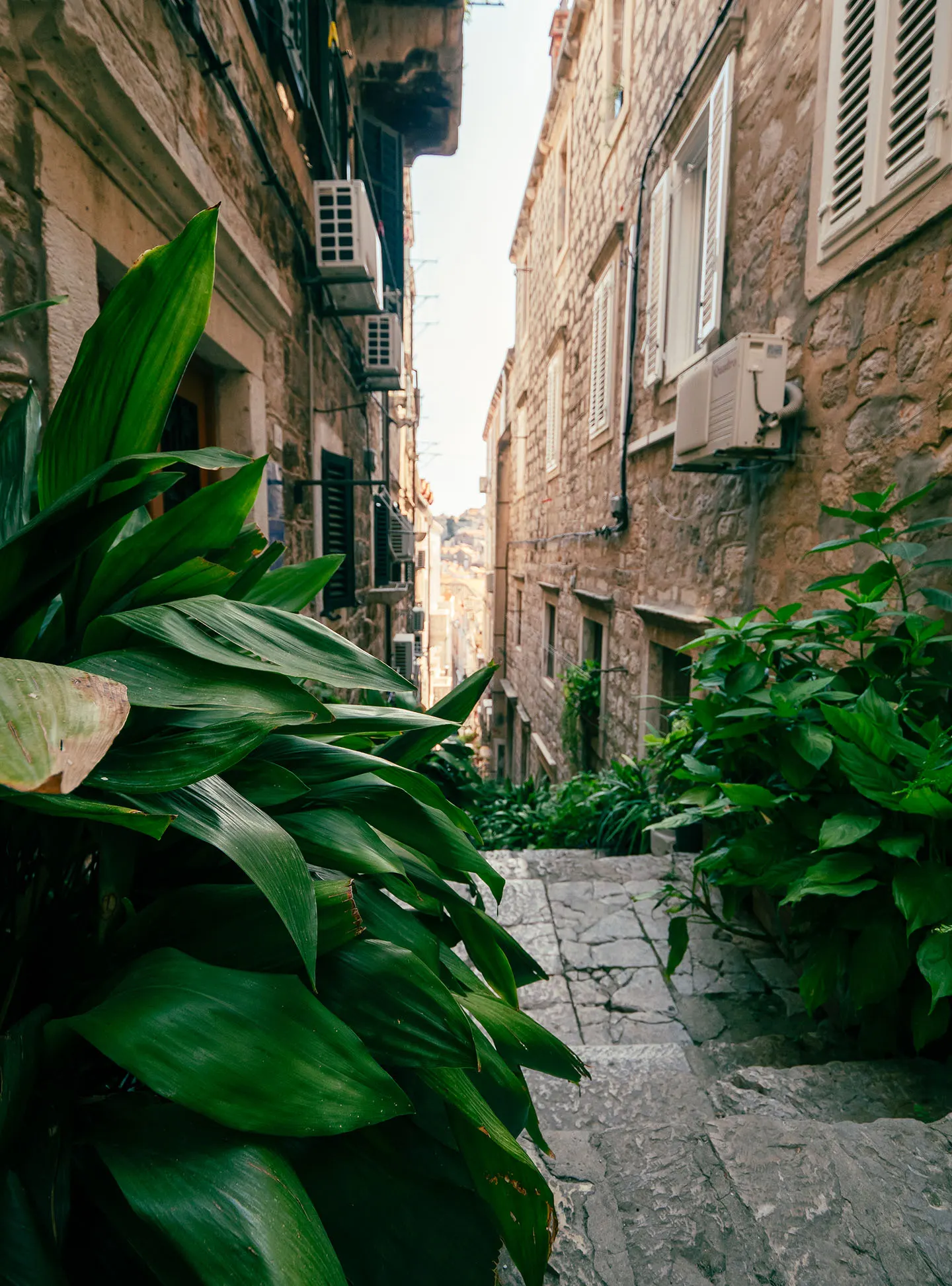 Enge Gasse zwischen Steinhäusern mit Treppenstufen und großen grünen Blattpflanzen