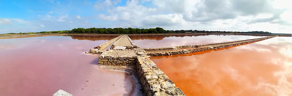 Ses Salines