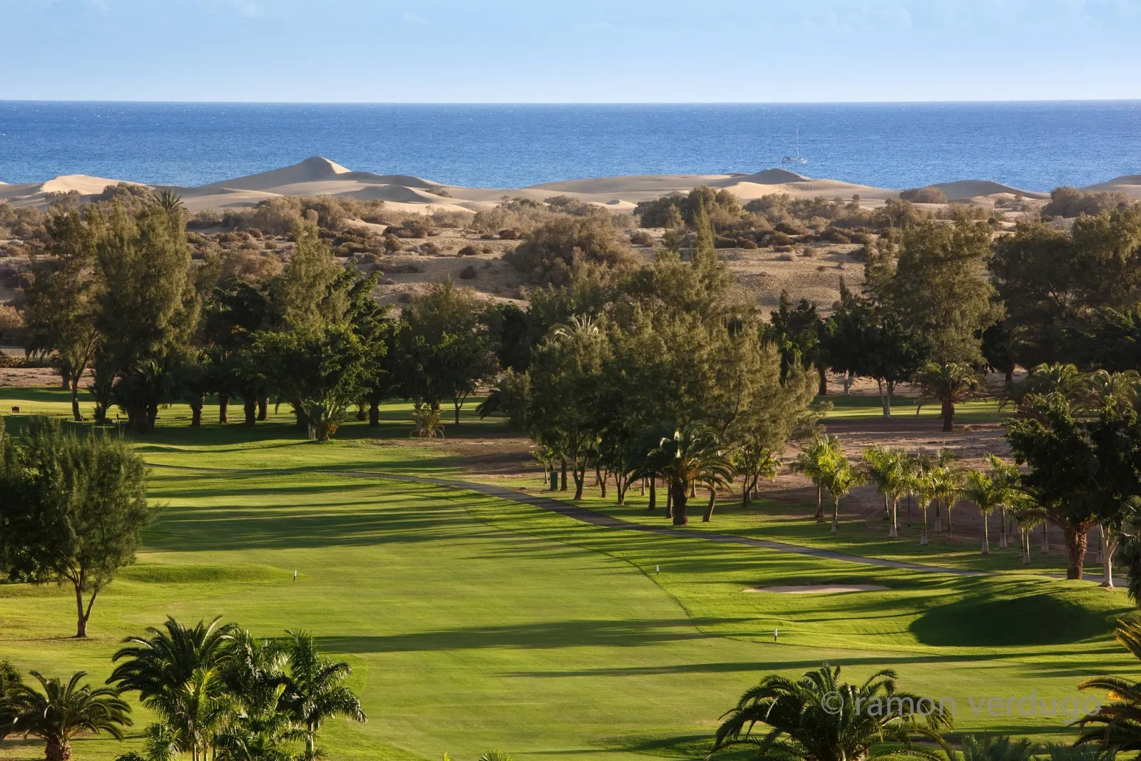 Blick über die Golfbahn und Palmen auf die Dünen von Maspalomas und das Meer