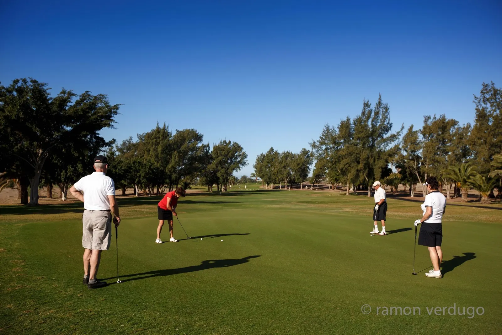 Vier Golfspieler beim Putten auf einem Grün, dahinter Bäume unter blauem Himmel