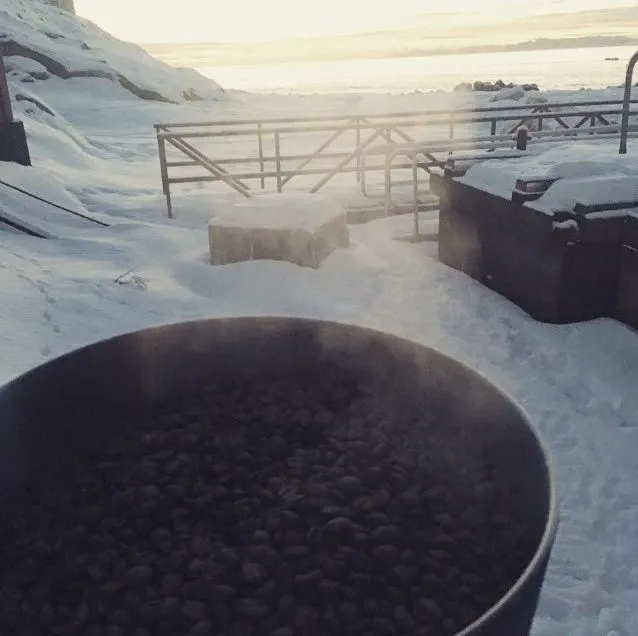 Große Pfanne mit gerösteten Kaffeebohnen im Schnee, Abendsonne über dem Fjord in Nuuk