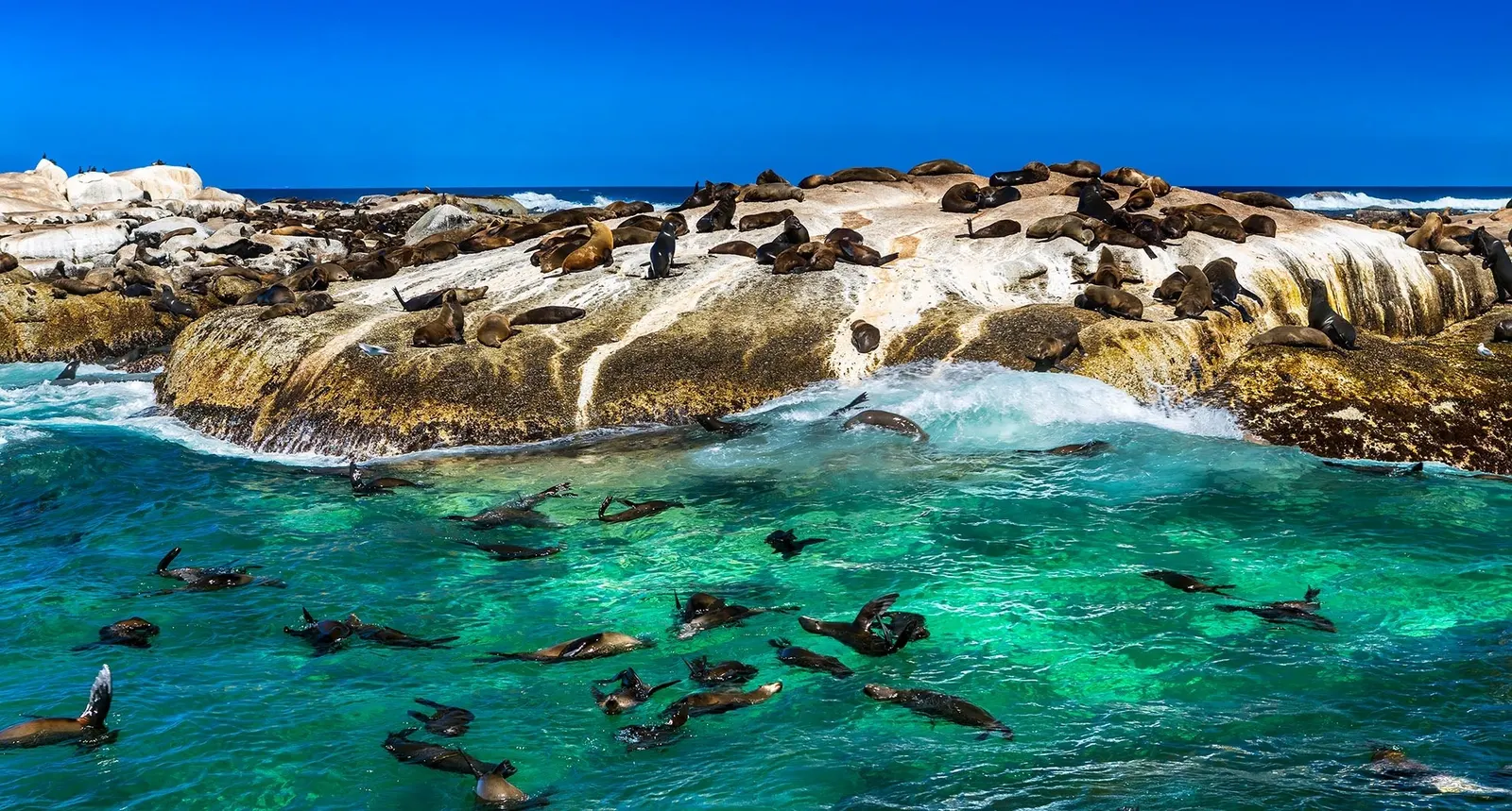 Rund ums Camps Bay