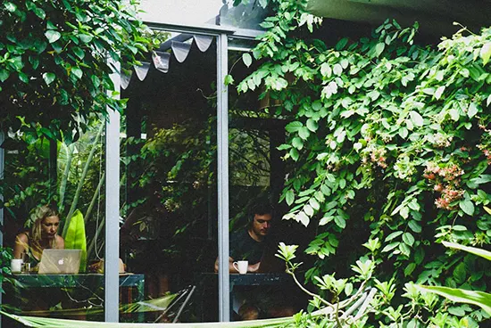 Blick durch dichtes Laub auf zwei Arbeitende hinter der Glasfront des Coworking-Hauses