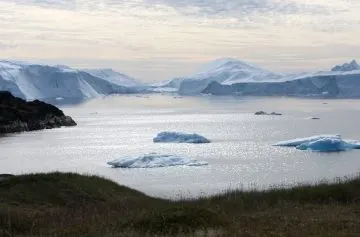 Eisberge treiben im Fjord vor Ilulissat, im Vordergrund grasbewachsene Hügel