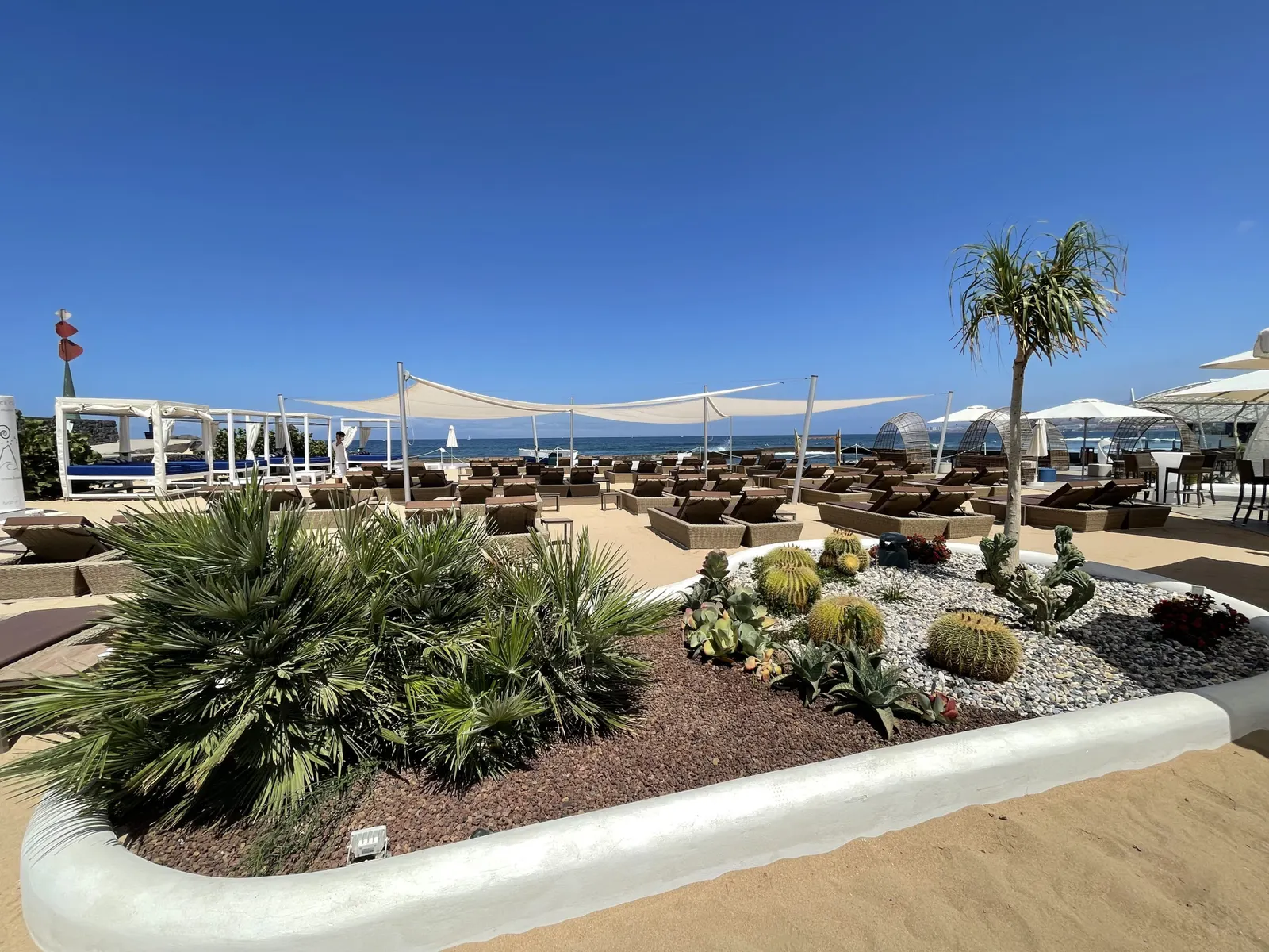Kakteenbeet vor Sonnensegeln und Rattanliegen am Strand unter tiefblauem Himmel
