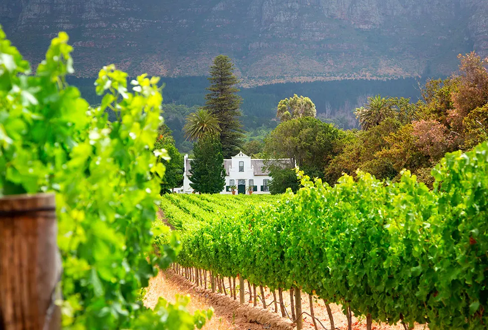 Stellenbosch – Architektur und Wein