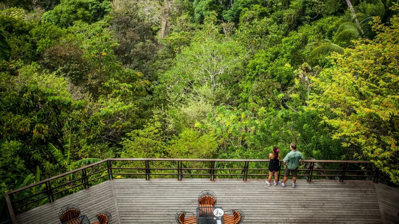 Paar auf dem Aussichtsdeck der Lapa Rios Lodge blickt in die Regenwaldkronen