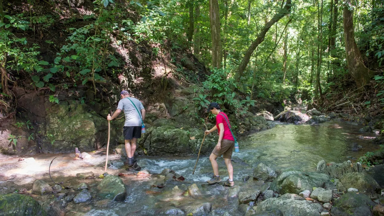 Drei Wanderer queren mit Stöcken einen flachen Bach im Regenwald von Costa Rica