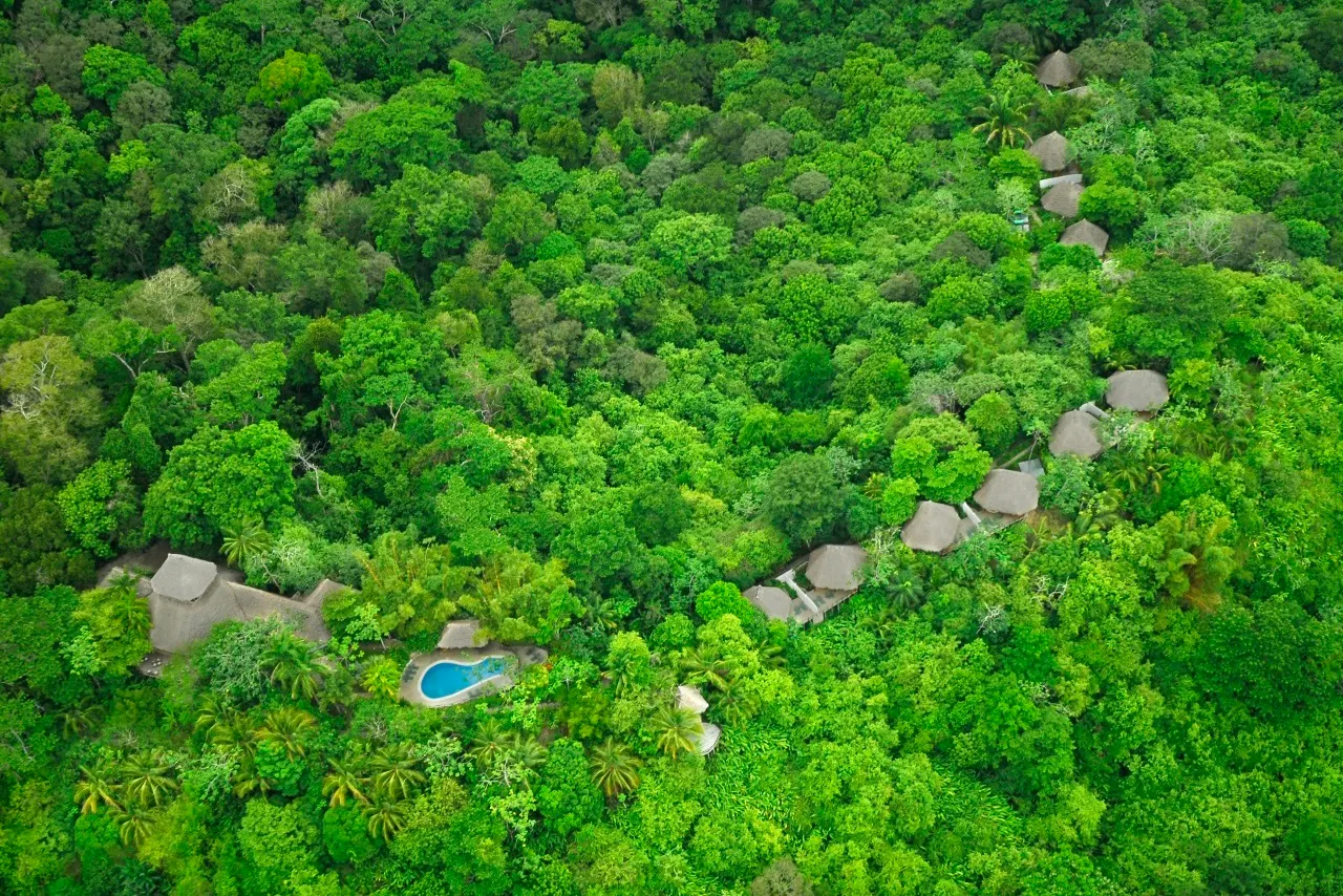 Luftbild der Lapa Rios Lodge, Bungalows mit Palmdächern und Pool im dichten Regenwald