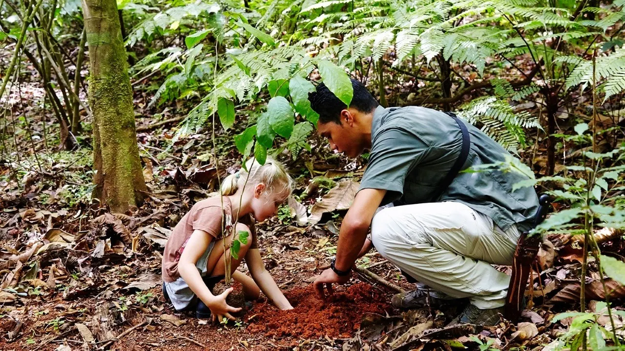 Guide und Kind setzen im Regenwald gemeinsam einen Setzling in rote Erde