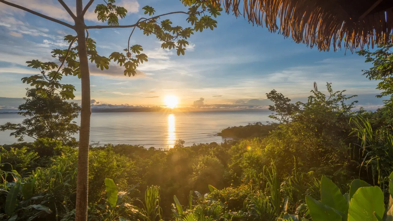 Sonnenuntergang über der Bucht, gesehen unter einem Palmdach durch tropische Vegetation