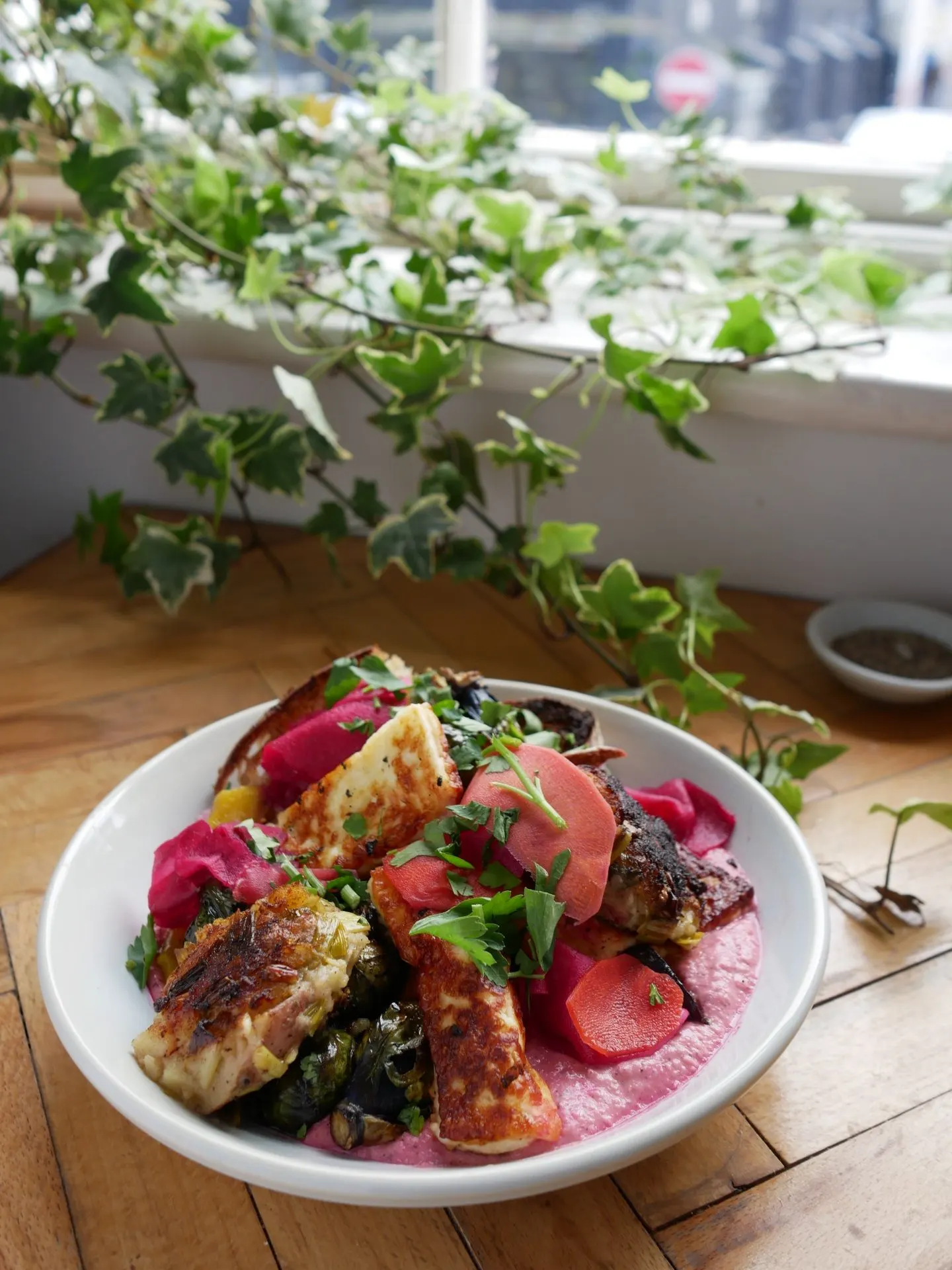 Schale mit gebratenem Halloumi, Rote-Bete-Creme und Gemüse, darüber Efeu am Fenster