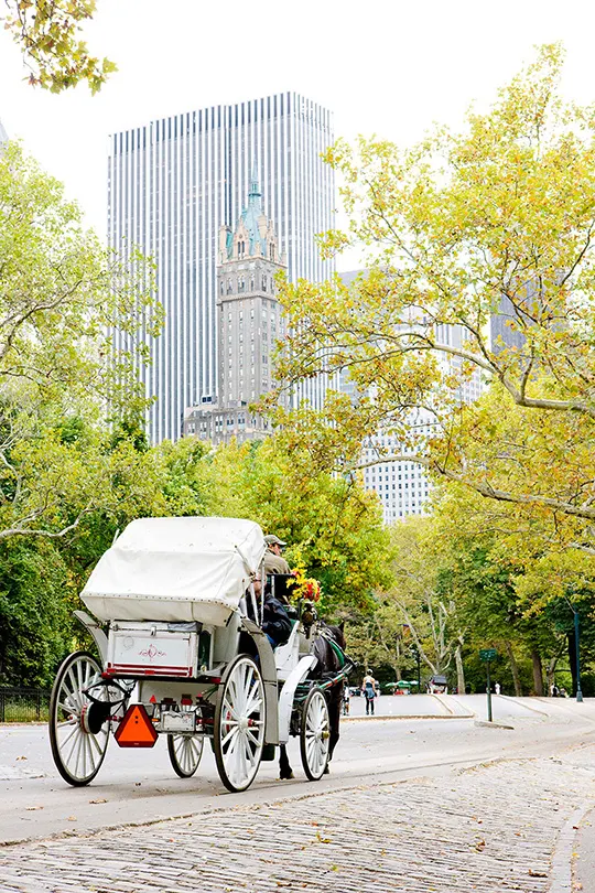 Kutschfahrt durch den Central Park