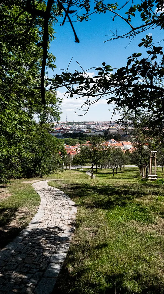 Gepflasterter Pfad durch eine Wiese am Hang, im Dunst dahinter die Dächer Prags