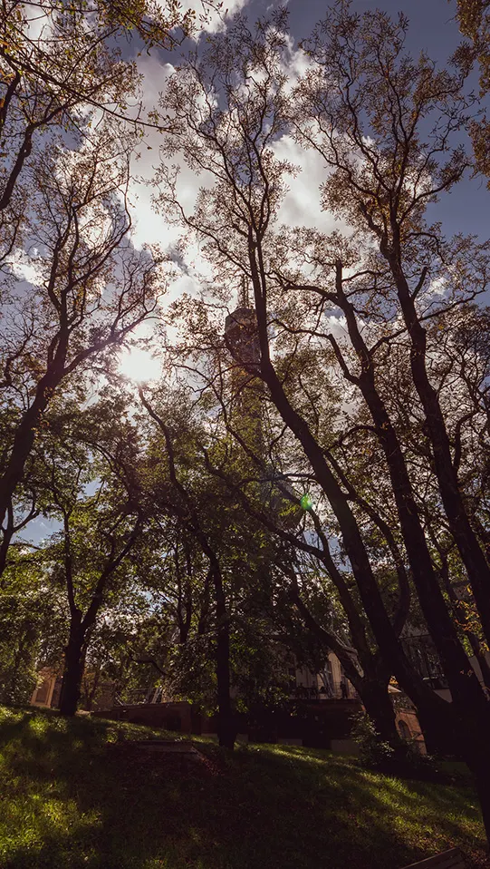 Blick von unten durch Baumkronen auf den Aussichtsturm auf dem Petřín im Gegenlicht