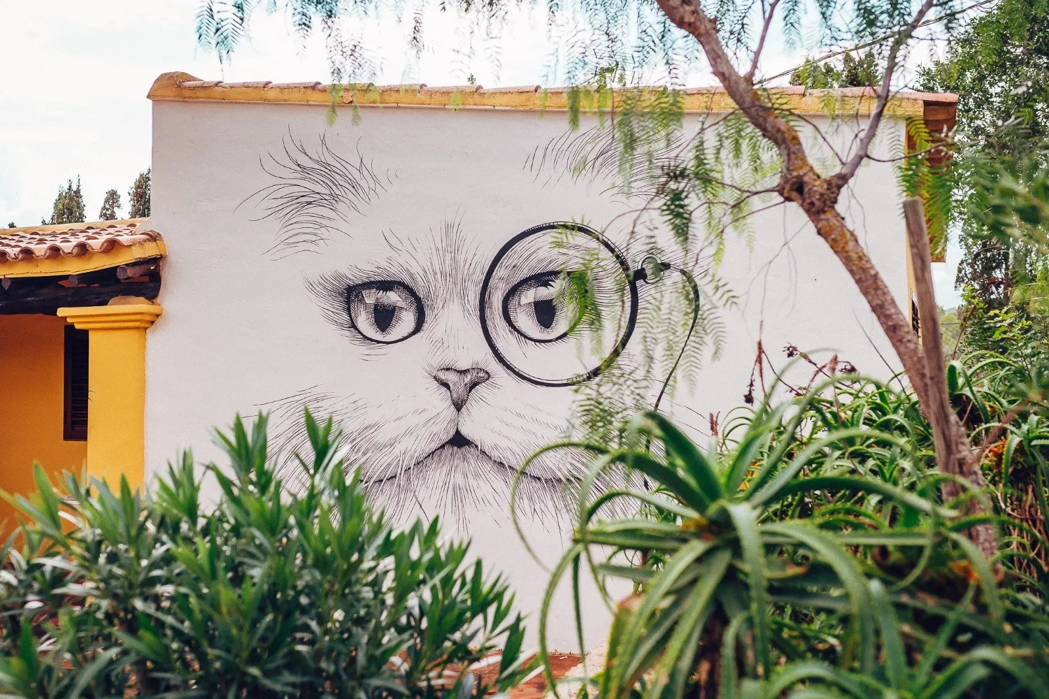 Wandbild einer Katze mit Monokel auf einer weißen Hauswand hinter Gartenpflanzen