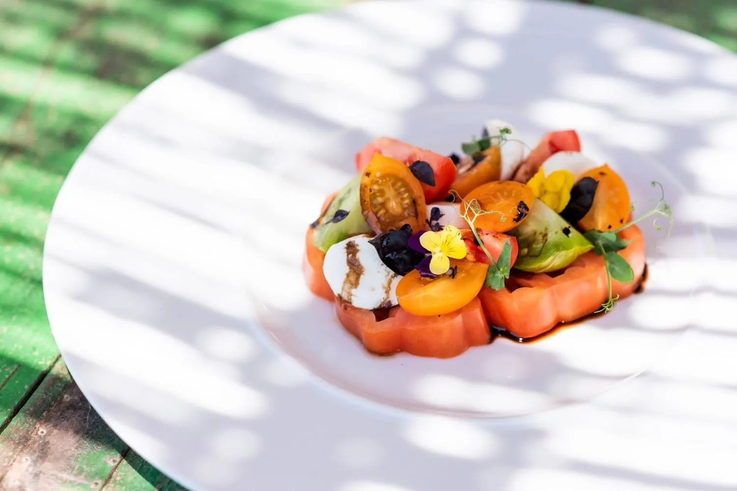 Tomatensalat mit Mozzarella und essbaren Blüten auf einem weißen Teller im Sonnenlicht