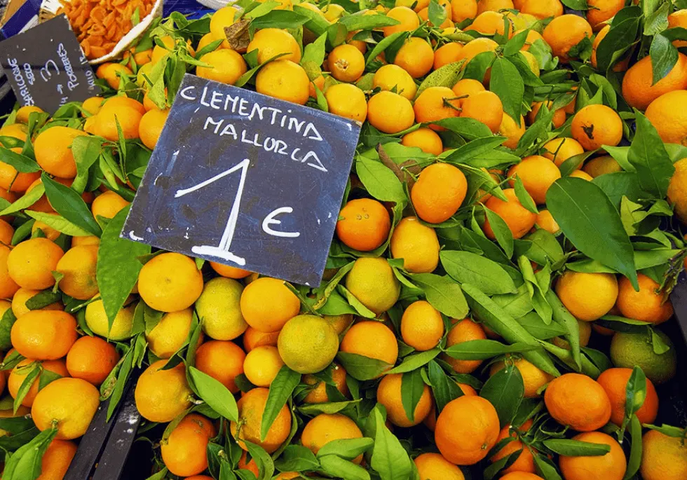 Berg aus Clementinen mit Blättern, Kreidetafel mit der Aufschrift Clementina Mallorca 1 Euro