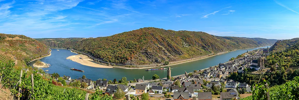 Panorama über eine Rheinschleife mit Weinbergen, bewaldeten Hängen und einem Ort am Ufer
