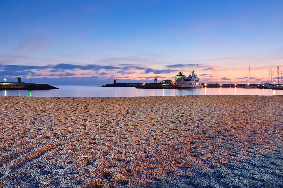 Kiesstrand in der Dämmerung, dahinter Hafeneinfahrt mit Leuchtturm und beleuchtetem Schiff
