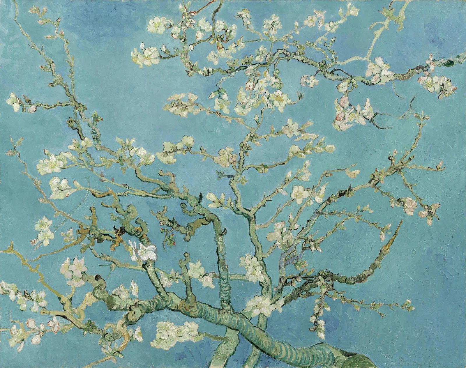 Vincent van Gogh, Mandelblüte, 1890, blühende Zweige vor blauem Himmel, Van Gogh Museum Amsterdam